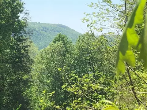 Laurel Thicket Lane, Brevard, NC 28712 photo 5