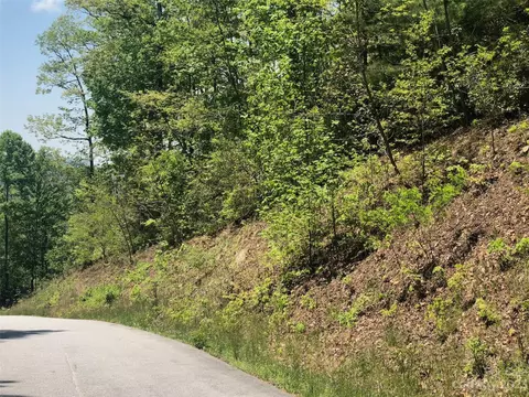 Laurel Thicket Lane, Brevard, NC 28712 photo 2