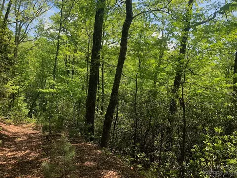 Laurel Thicket Lane, Brevard, NC 28712 photo 6