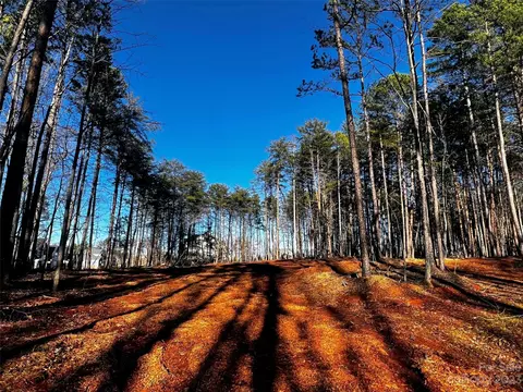109 Hunt Camp 19 Trl #19, Davidson, NC 28036