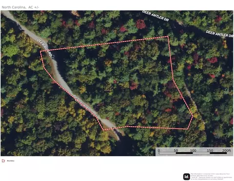 86 Deer Antler Road #86, Purlear, NC 28665 photo 3