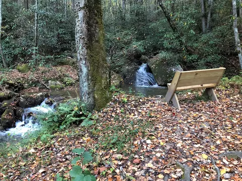 White Tail 43 Trail #43, Purlear, NC 28665 photo 17