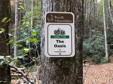 White Tail 43 Trail #43, Purlear, NC 28665 photo 15