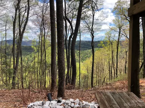 White Tail 43 Trail #43, Purlear, NC 28665 photo 14