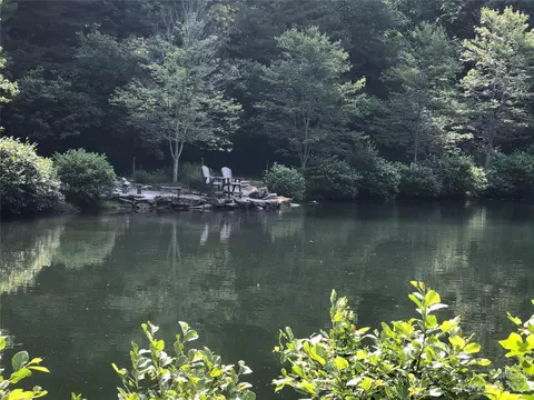 White Tail 43 Trail #43, Purlear, NC 28665 photo 25