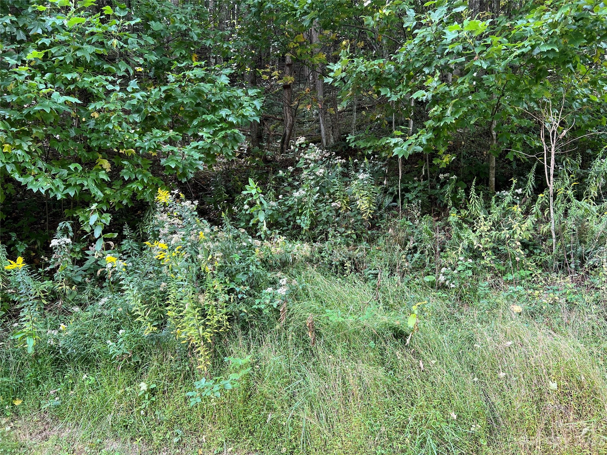 Carefree Cove 79 Rd Unit 79