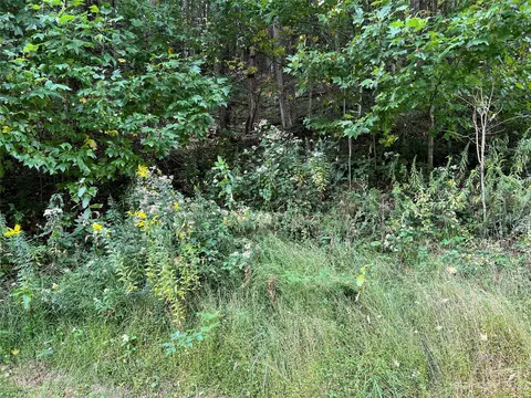 Carefree Cove 79 Road #79, Zionville, NC 28698