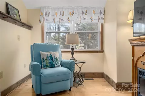 Living - 25 Pace St, Saluda, NC 28773 photo 5 of 7