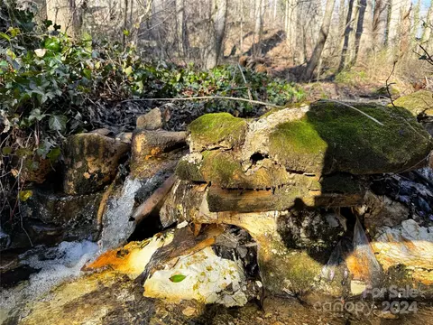 Other - 25 Pace St, Saluda, NC 28773 photo 7 of 8