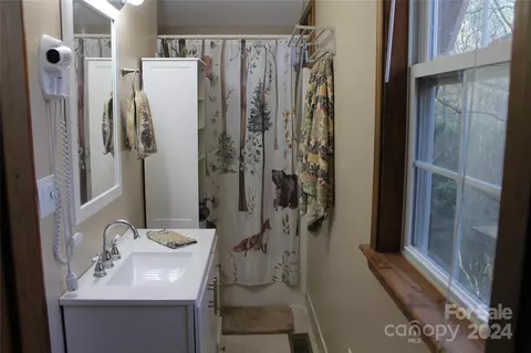 Bath - 25 Pace St, Saluda, NC 28773 photo 2 of 3