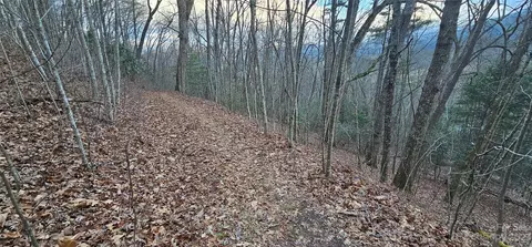 Seay Mountain Road, Waynesville, NC 28785
