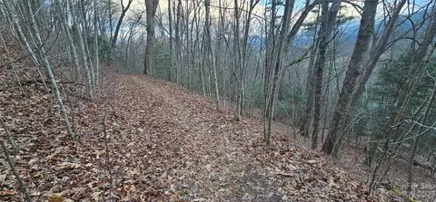 Seay Mountain Road, Waynesville, NC 28785