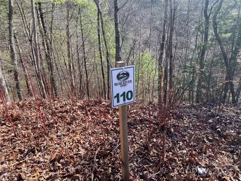 Laurel Ridge, Marshall, NC 28754 photo 8