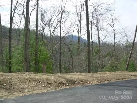 Laurel Ridge, Marshall, NC 28754 photo 11