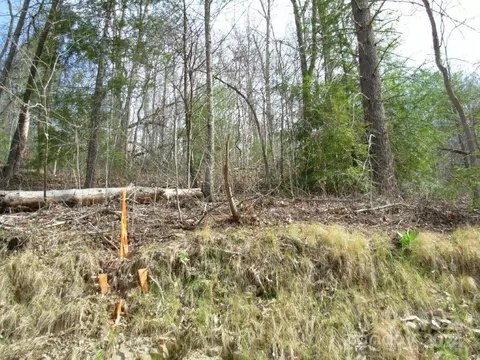 Laurel Ridge, Marshall, NC 28754 photo 10