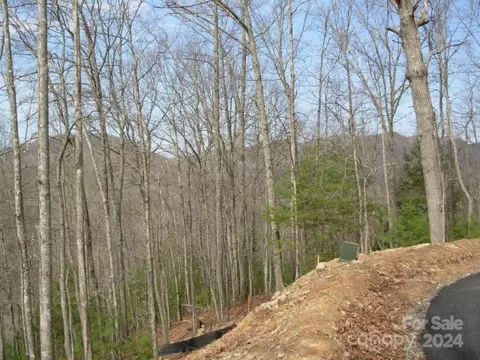 Laurel Ridge, Marshall, NC 28754 photo 14