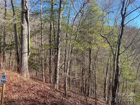Laurel Ridge, Marshall, NC 28754 photo 7