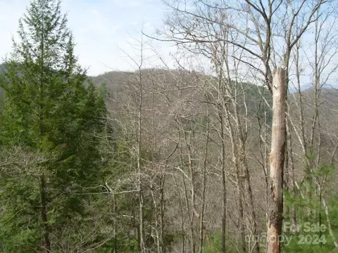 Laurel Ridge, Marshall, NC 28754 photo 2