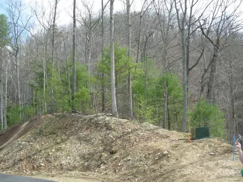 Laurel Ridge, Marshall, NC 28754 photo 12