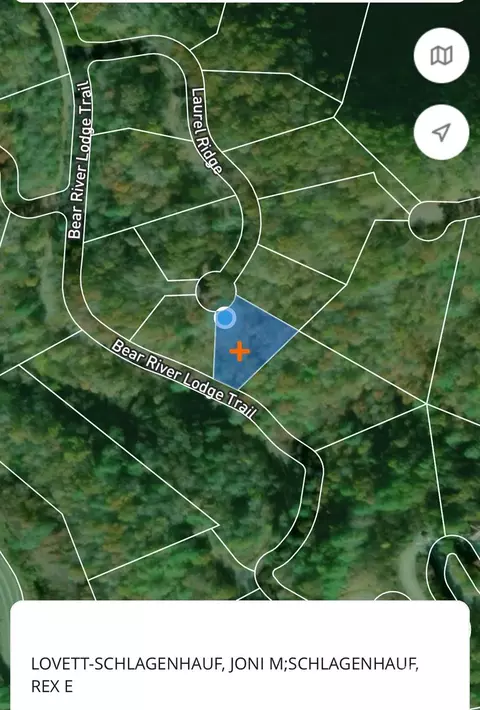 Laurel Ridge, Marshall, NC 28754 photo 9