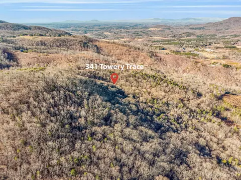 341 Towery Trce, Bostic, NC 28018 photo 29