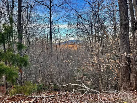 Big Branch Drive, Marion, NC 28752
