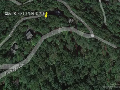0 Rumbling Bald 75 Rd #75, Lake Lure, NC 28746