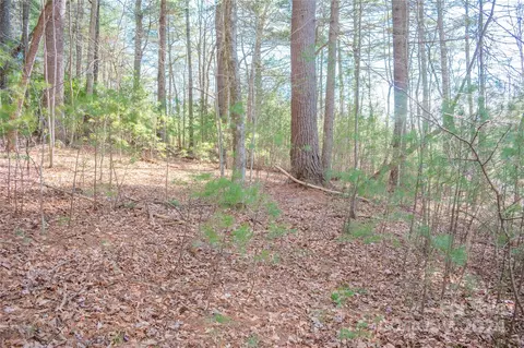 Two Brooks Trail, Fletcher, NC 28732 photo 7