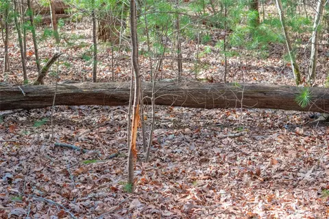 Two Brooks Trail, Fletcher, NC 28732 photo 8