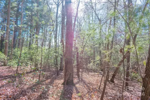 Two Brooks Trail, Fletcher, NC 28732 photo 16