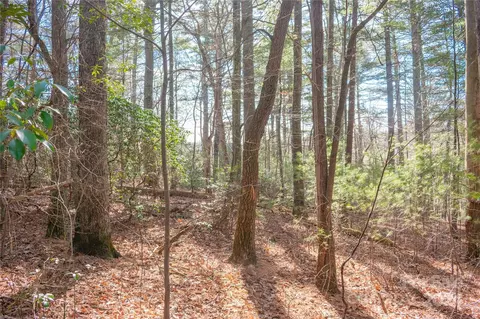 Two Brooks Trail, Fletcher, NC 28732 photo 12
