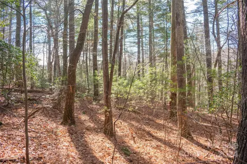 Two Brooks Trail, Fletcher, NC 28732 photo 15