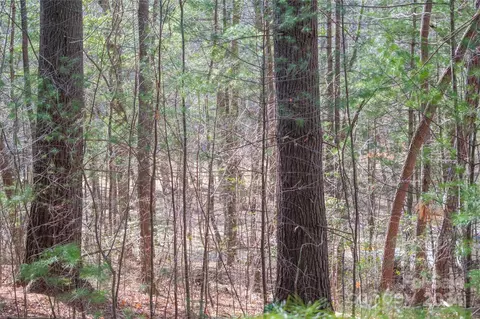 Two Brooks Trail, Fletcher, NC 28732 photo 20