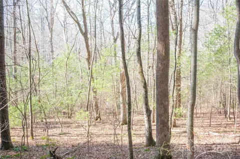 Two Brooks Trail, Fletcher, NC 28732 photo 4