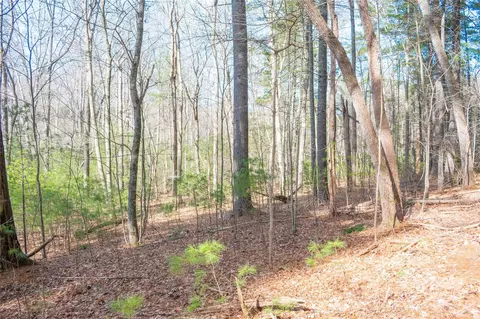 Two Brooks Trail, Fletcher, NC 28732 photo 22