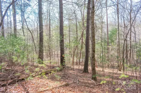 Two Brooks Trail, Fletcher, NC 28732 photo 19
