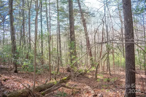 Two Brooks Trail, Fletcher, NC 28732 photo 17