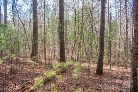 Two Brooks Trail, Fletcher, NC 28732 photo 21