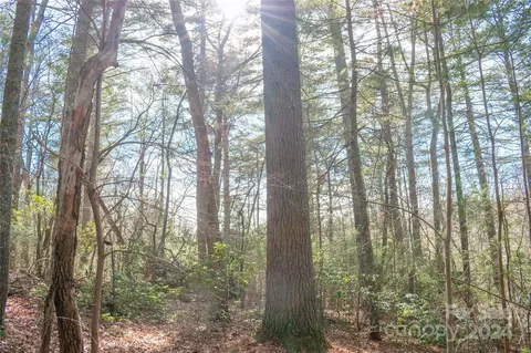 Two Brooks Trail, Fletcher, NC 28732 photo 14