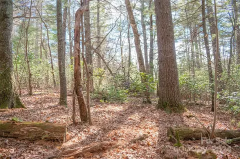 Two Brooks Trail, Fletcher, NC 28732 photo 13