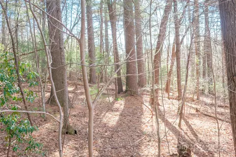 Two Brooks Trail, Fletcher, NC 28732 photo 9