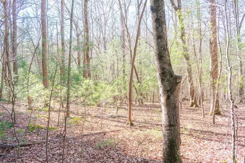 Two Brooks Trail, Fletcher, NC 28732 photo 10