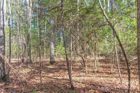 Two Brooks Trail, Fletcher, NC 28732 photo 5
