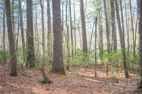 Two Brooks Trail, Fletcher, NC 28732 photo 11