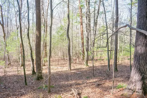 Two Brooks Trail, Fletcher, NC 28732 photo 3