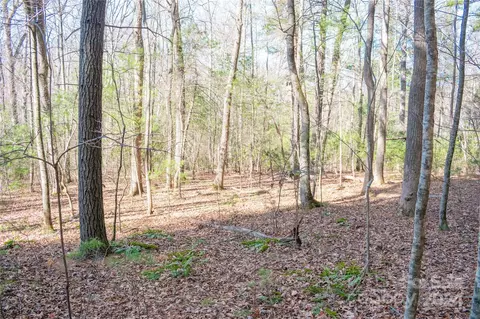Two Brooks Trail, Fletcher, NC 28732 photo 2