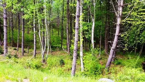 3277 Peninsula Pointe Nw 88 Dr NW #88, Valdese, NC 28690