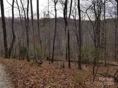 Bobcat Trail, Saluda, NC 28773