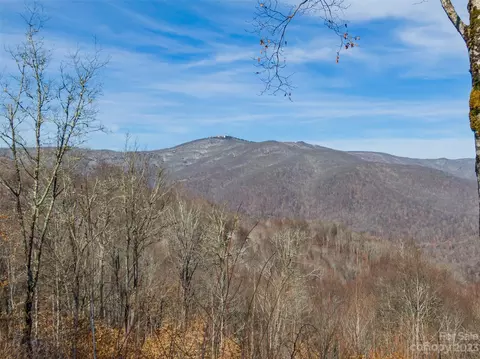 Black Bear Run, Mars Hill, NC 28754 photo 5