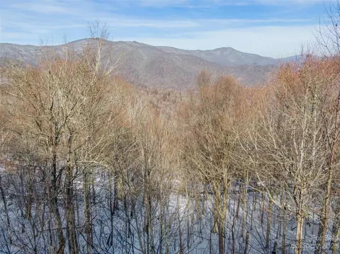 Black Bear Run, Mars Hill, NC 28754 photo 7